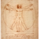 Proportionsschema von da Vinci