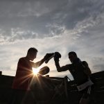 2 Boxer beim Training im Sonnununtergang